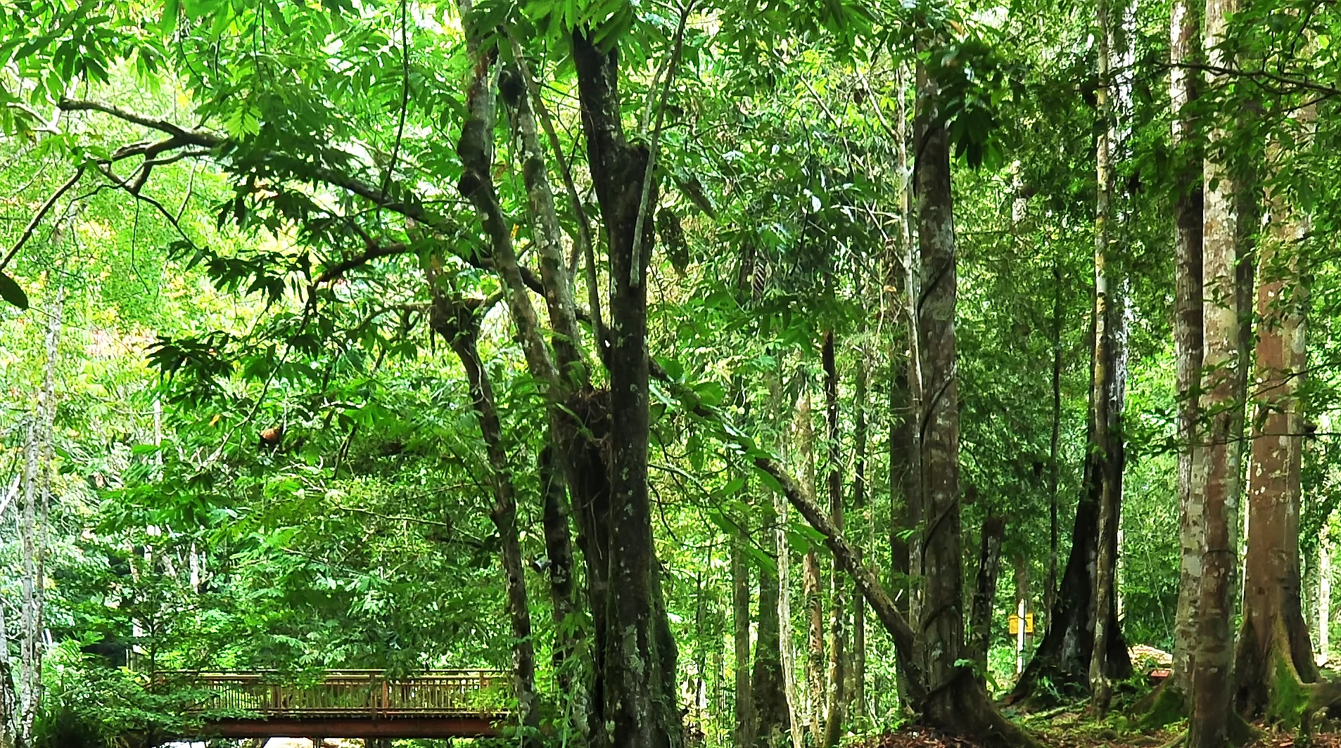 Foto rasmi Taman Eko-Rimba Lentang