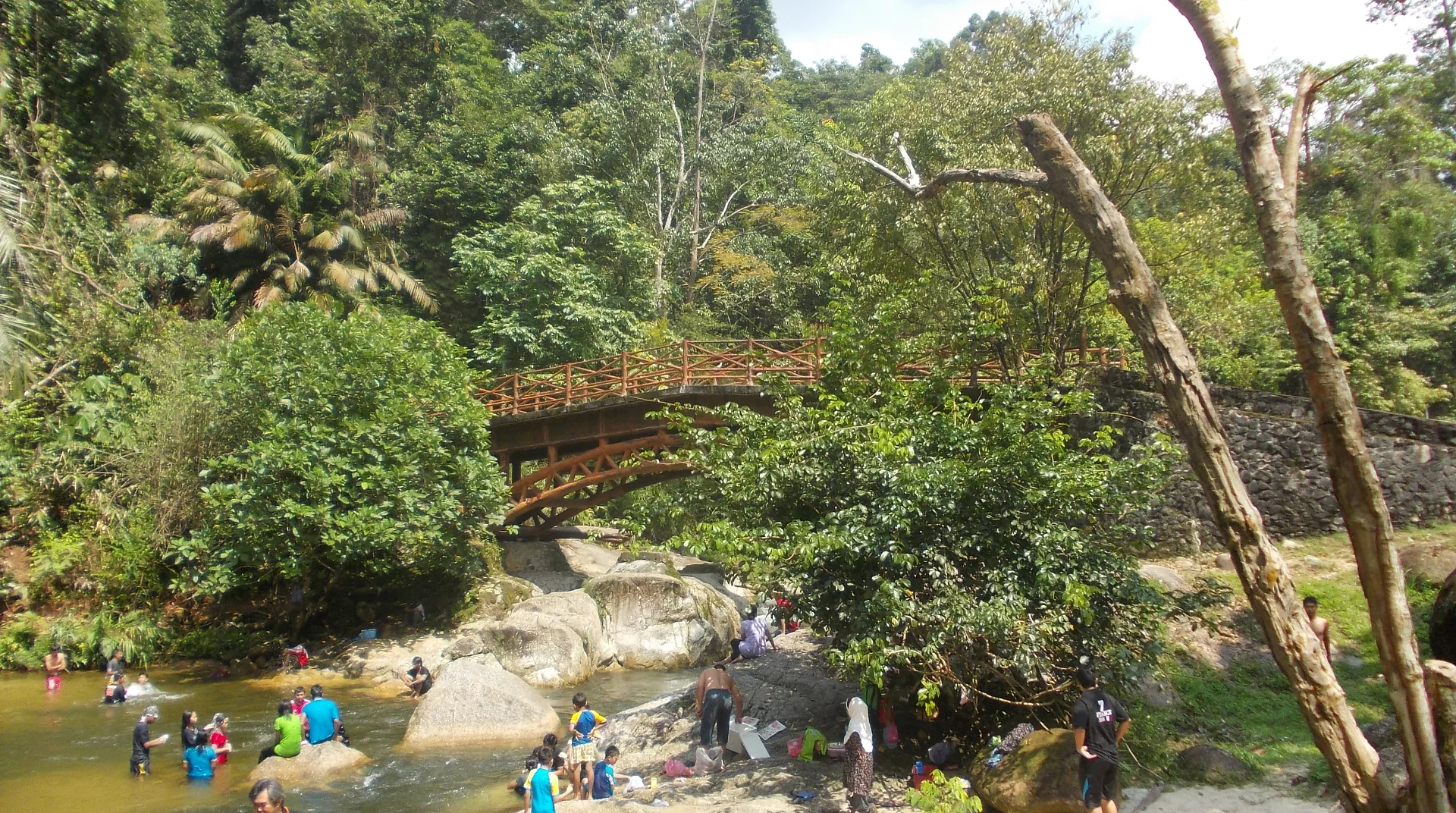 Foto rasmi Taman Eko-Rimba Sungai Sedim